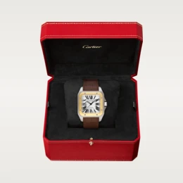 SANTOS 100 WATCH 38mm - SILKROAD