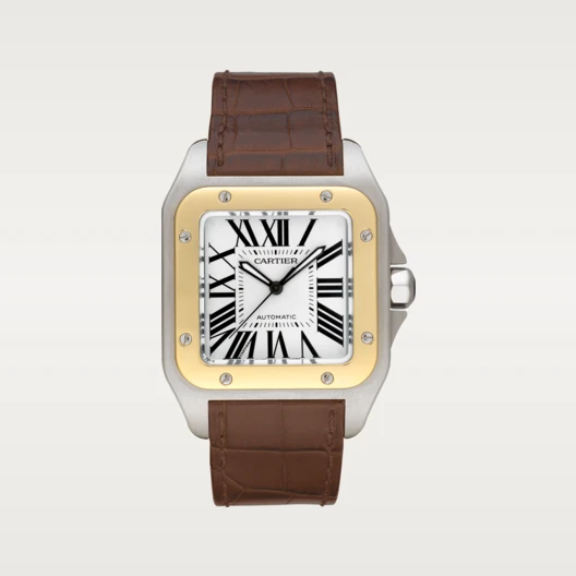 SANTOS 100 WATCH 38mm - SILKROAD