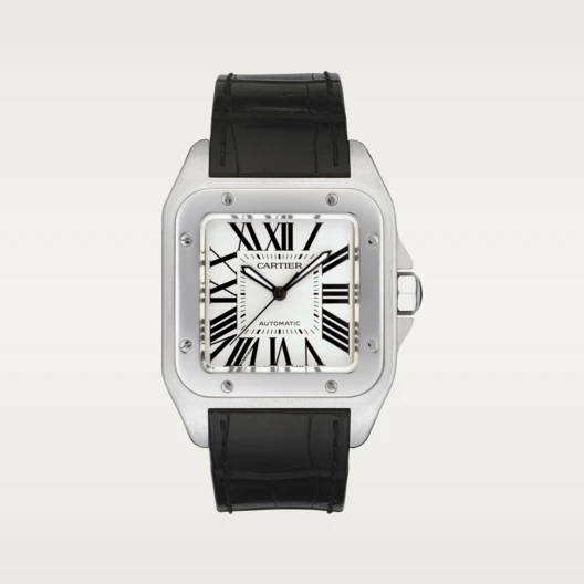 SANTOS 100 Silver Gray 38mm - SILKROAD