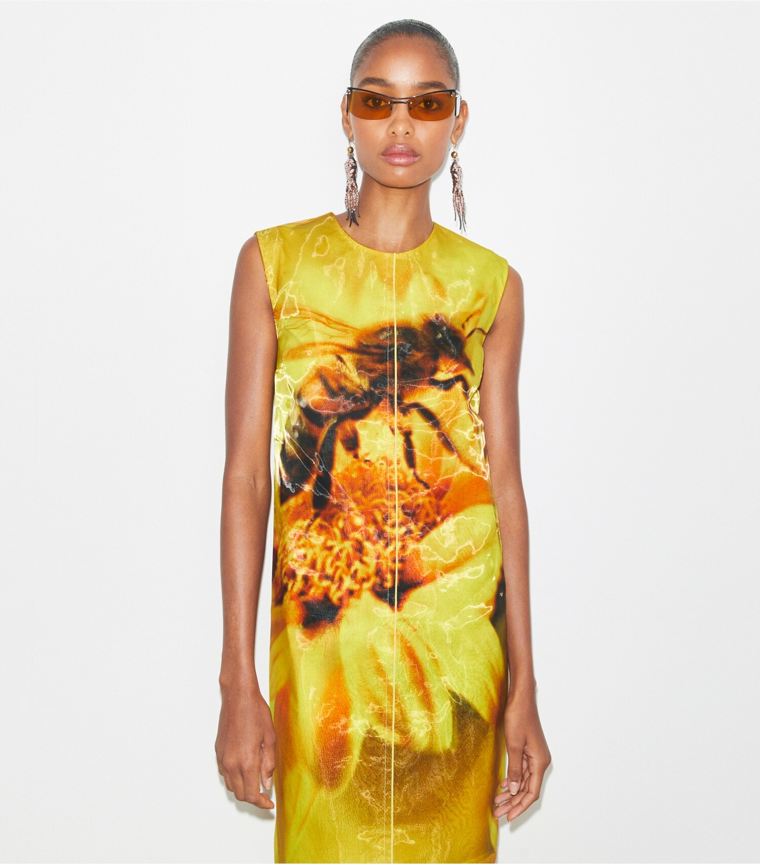 Printed Organza Dress