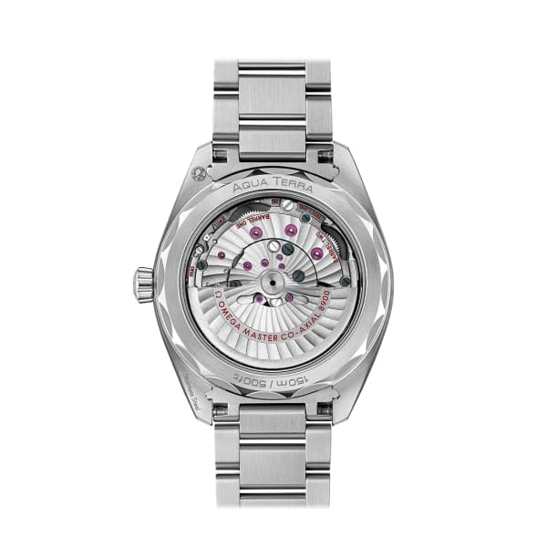 Omega Seamaster 220.10.41.21.10.001