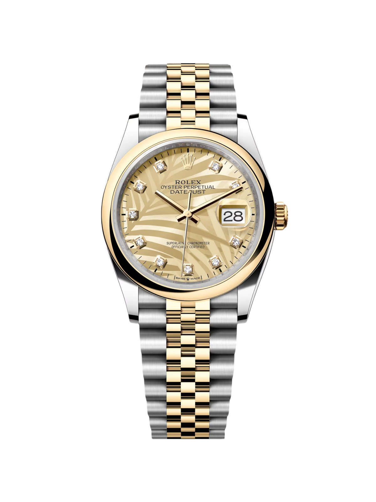 RLX  Datejust 36mm 126203 Golden Palm Dial Domed Bezel Oyster Bracelet