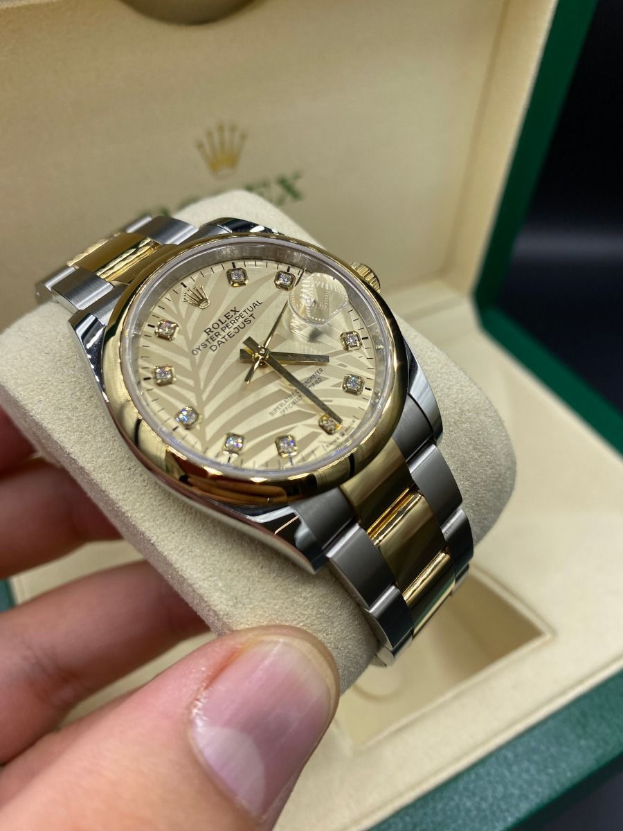 RLX  Datejust 36mm 126203 Golden Palm Dial Domed Bezel Oyster Bracelet