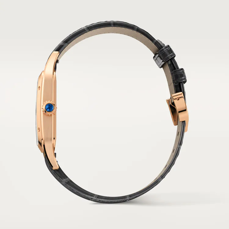 SANTOS-DUMONT RoseGoldMix 38mm