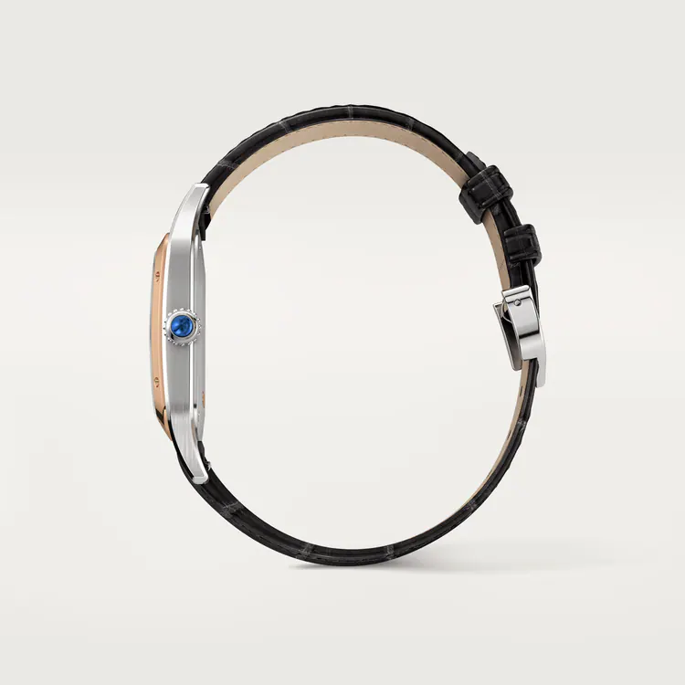 SANTOS-DUMONT RoseGoldMix 38mm