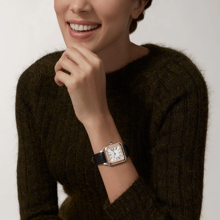 SANTOS-DUMONT RoseGoldMix 38mm