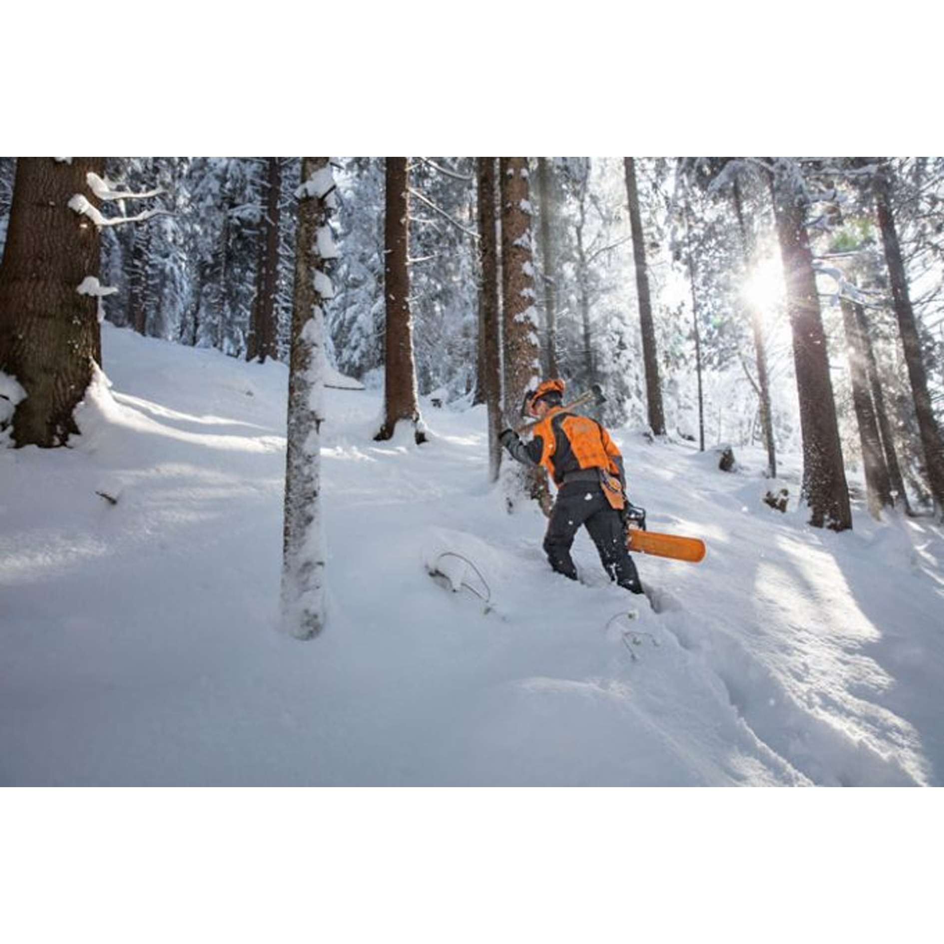 STIHL MS 462 Professional Chainsaw with 25 Inch bar and chain