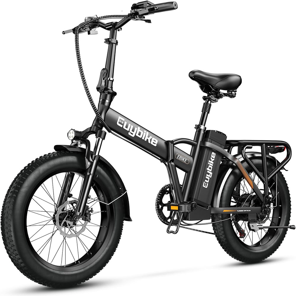 1000W, 48V 20AH Large Removable Battery E Bike