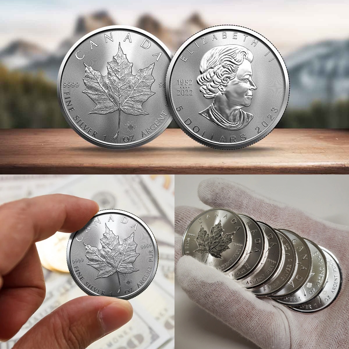 🍁 Final Edition! 💰 65% OFF Canadian Maple Leaf Coin