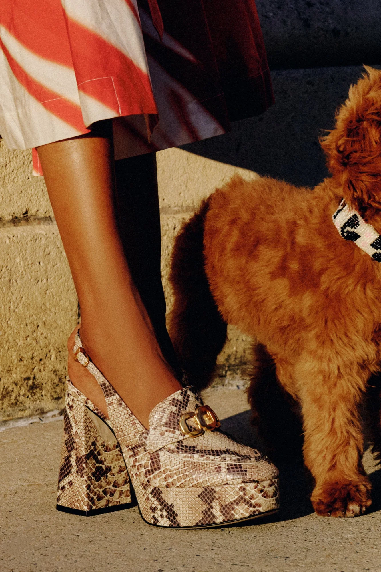 Harrington Loafer Hi In Neutral Snake Stamped Leather