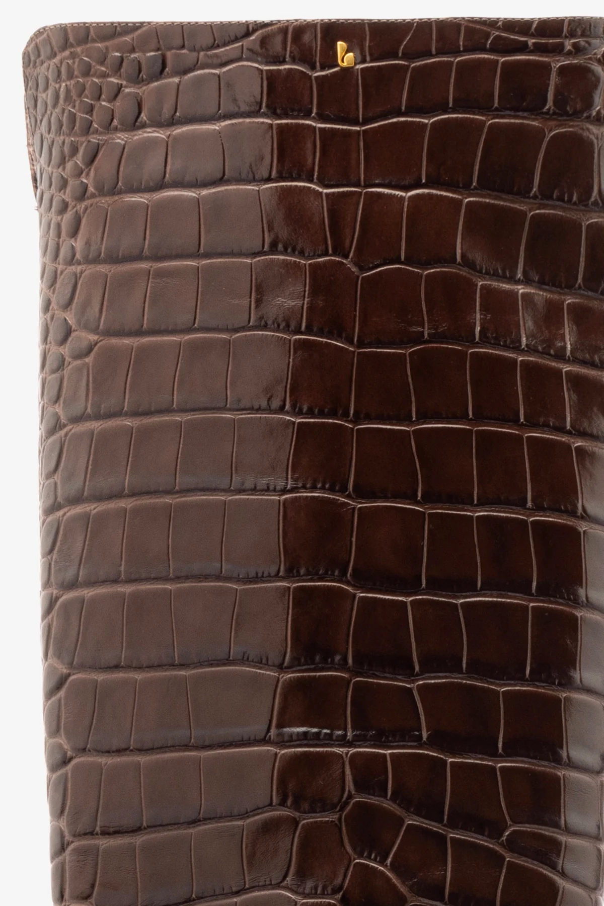 Kate Hi Boot In Brown Leather