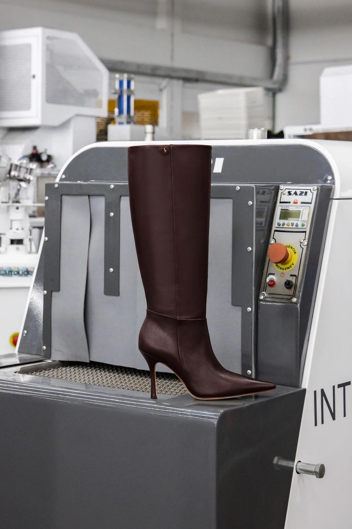 Carina Boot In Brown Leather