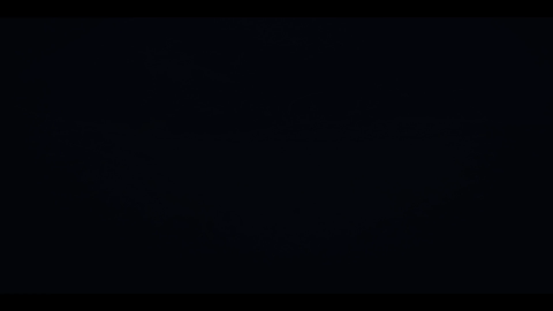 2025 MODEL NINJA® 500 KRT EDITION