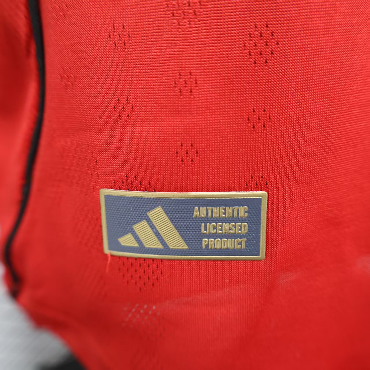 Player Version Man United 25/26 Home S-XXL