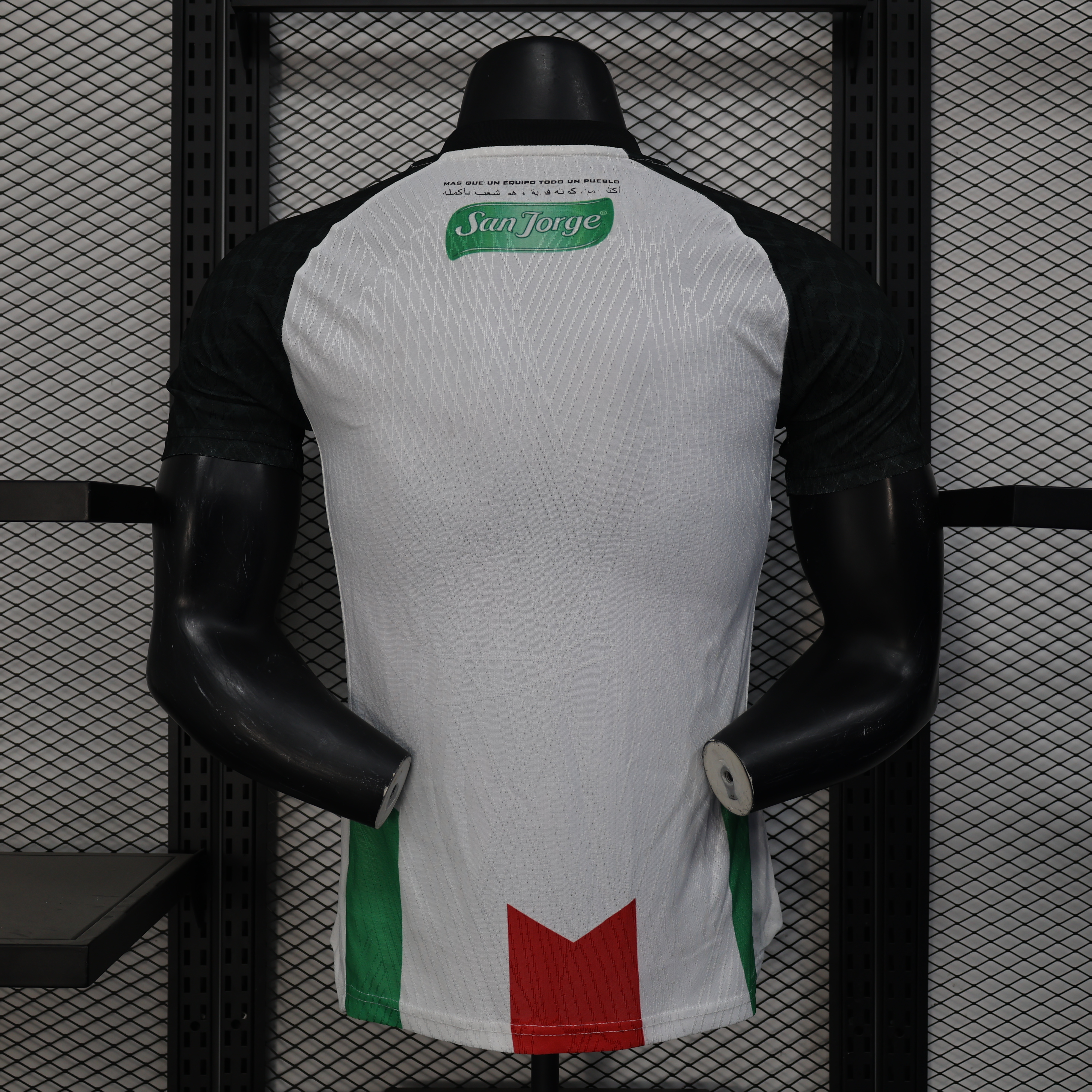 Player Version Palestino Deportivo 25/26 Home  S-XXL