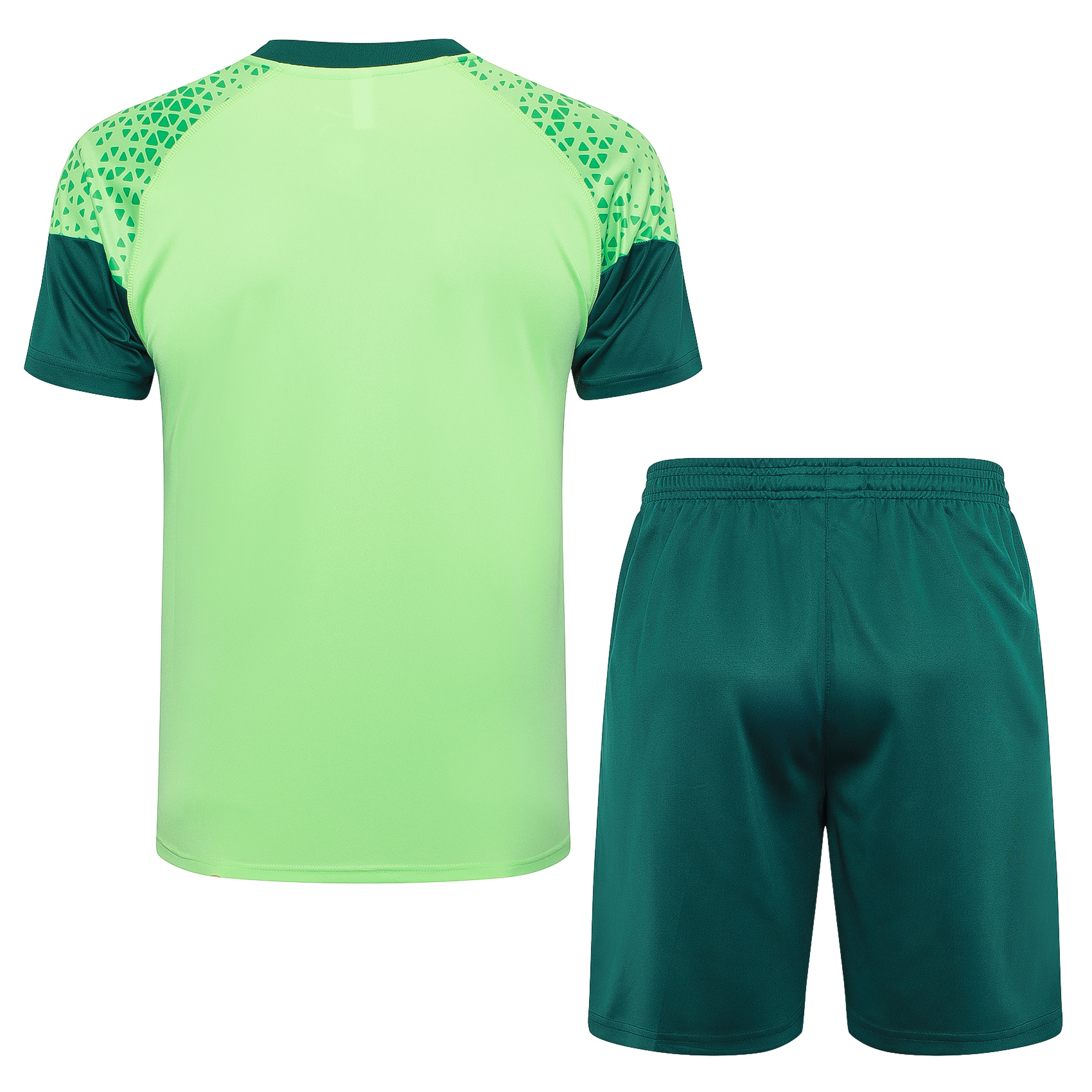 Shorts Sleeves Palmeiras Training Suit