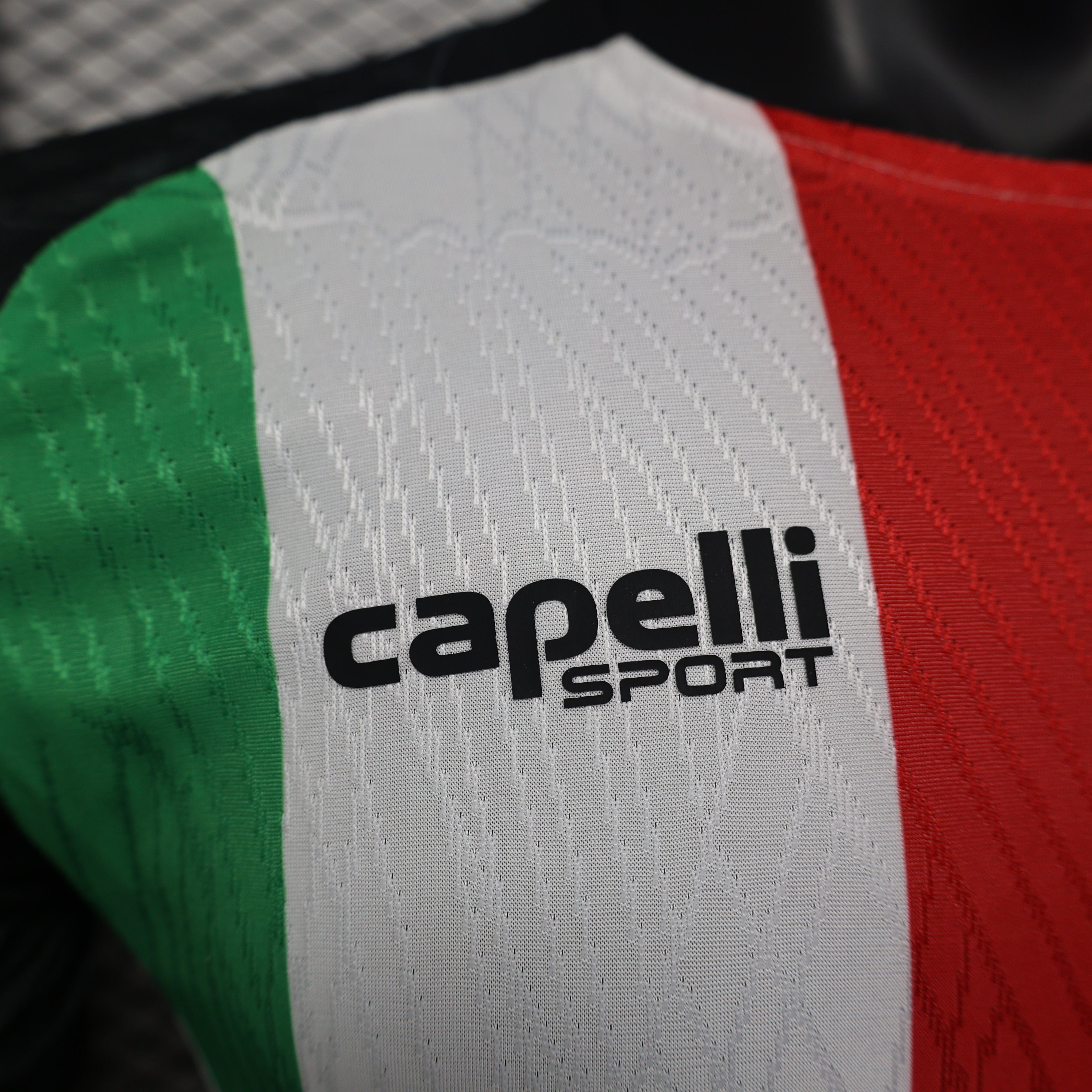 Player Version Palestino Deportivo 25/26 Home  S-XXL