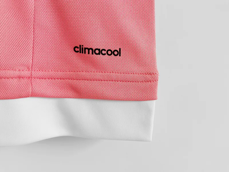 Retro  Juventus 2015/16 Away Long Sleeves Pink