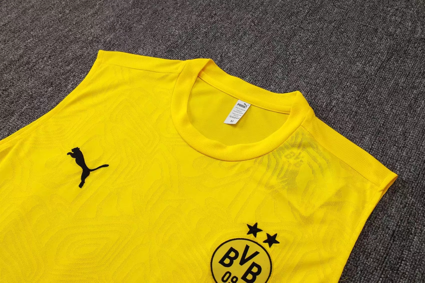 Dortmund Sleeveless training suit