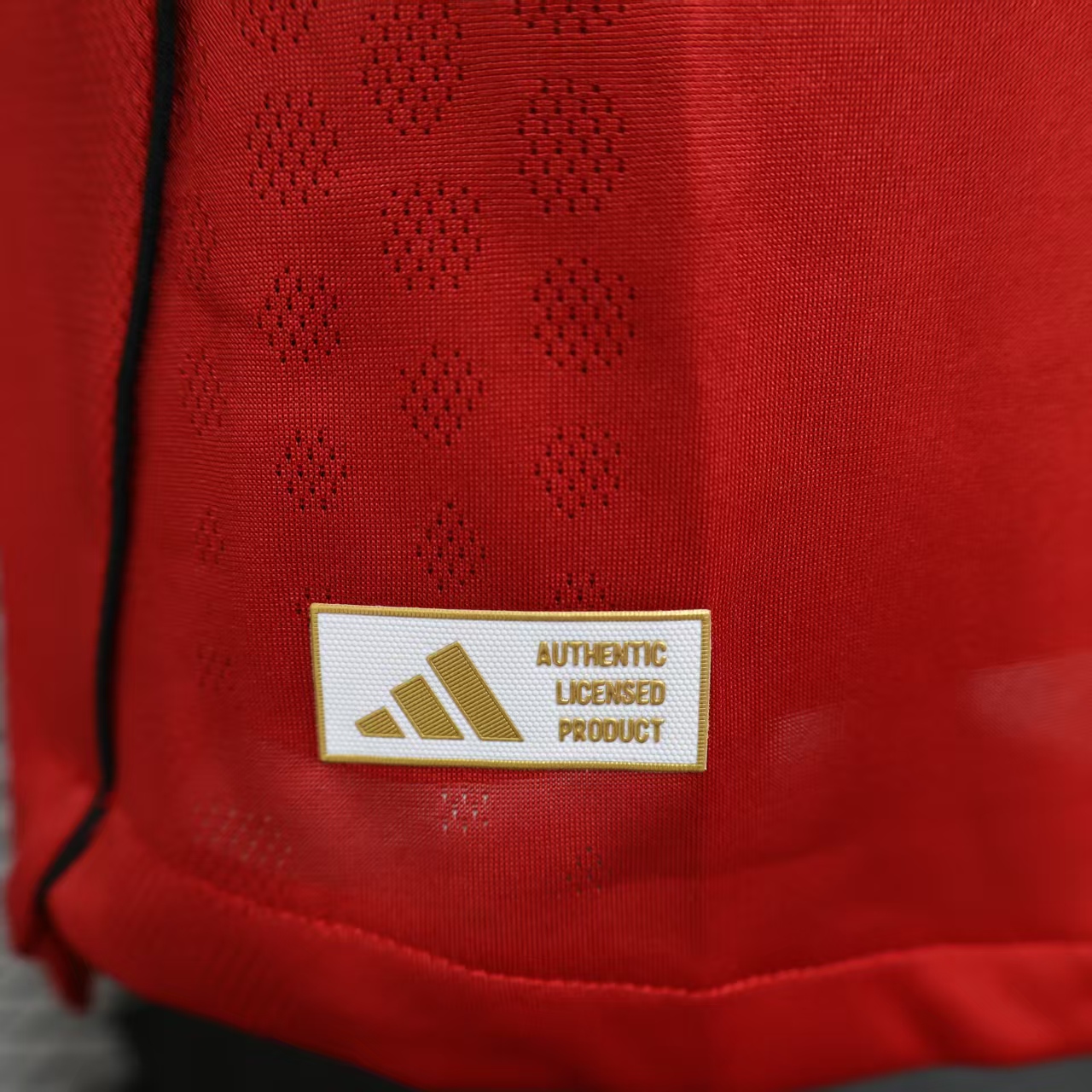 Player Version Man United 25/26 Home Long Sleeves S-XXL