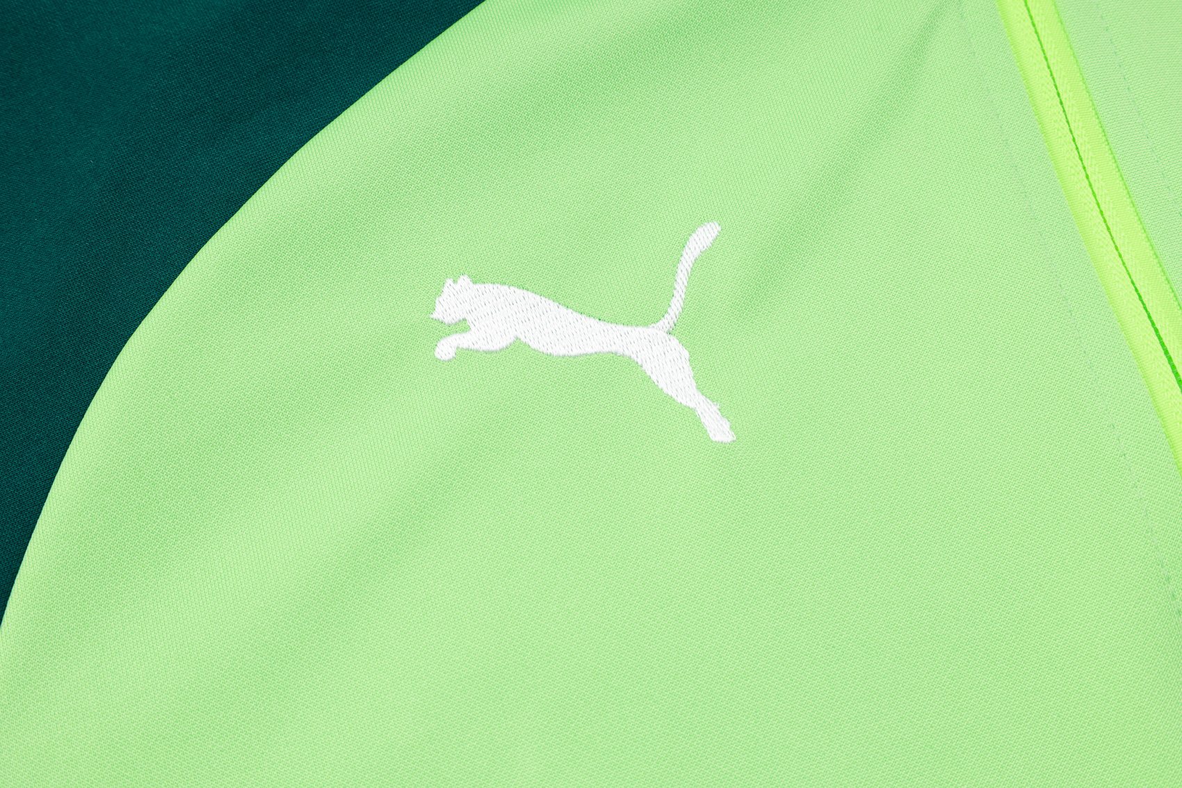 Palmeiras Full Zipper Training Suit A741