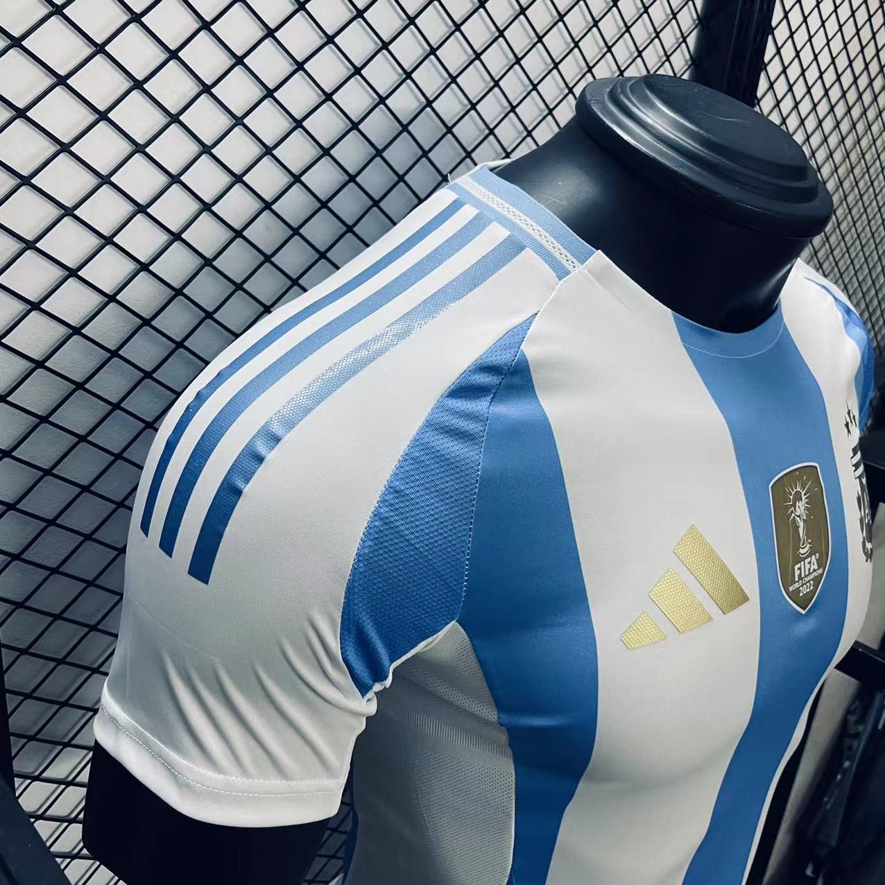 Player Version  Argentina 24/25 Home