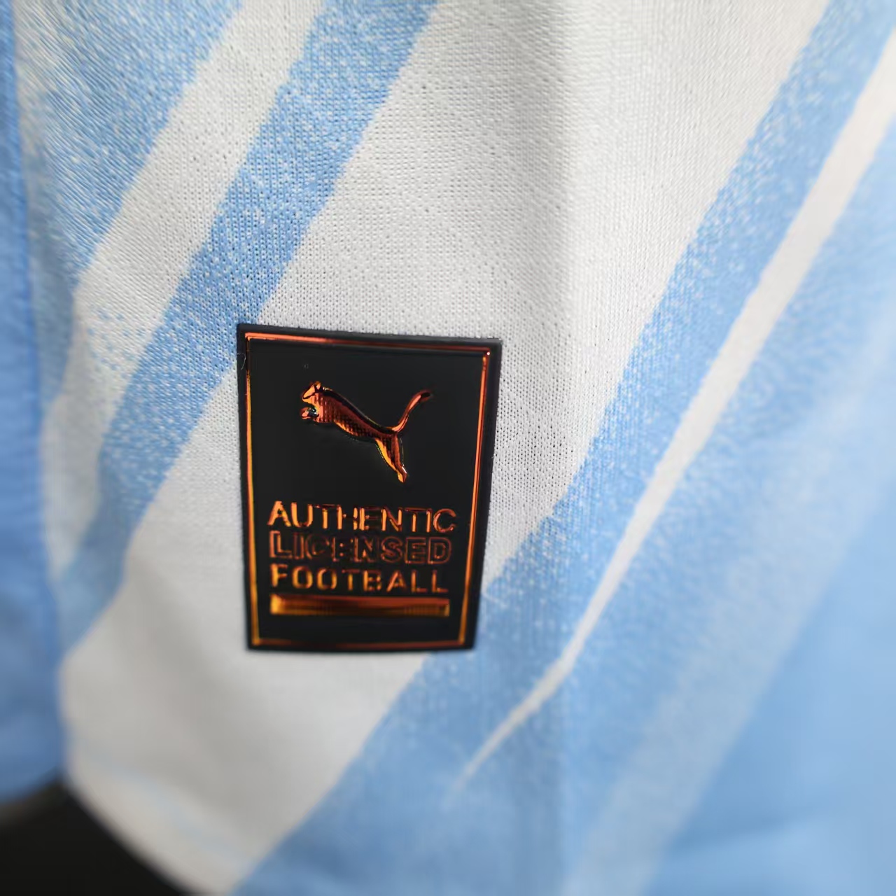 Player Version Man City 25/26 Home Long Sleeves S-XXL