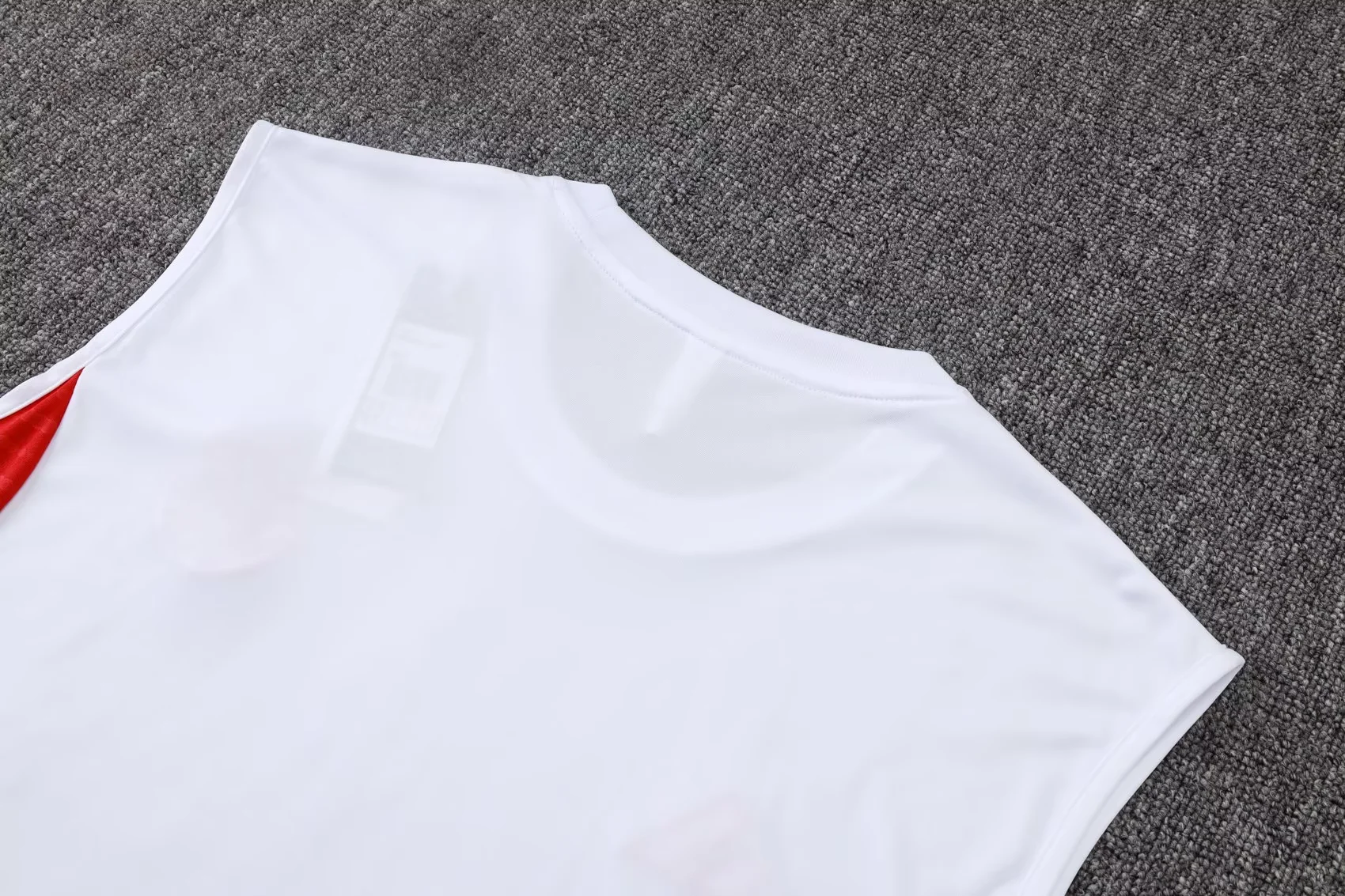 2526 Bayern Sleevesless Training Suit D2558