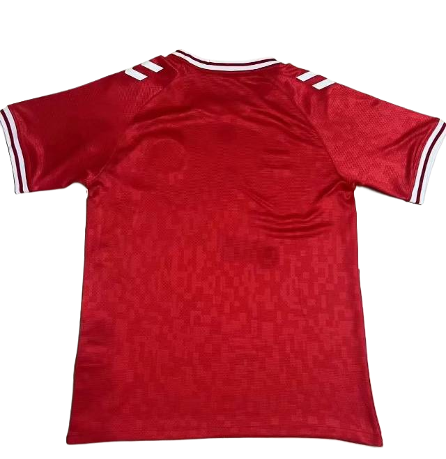 Denmark 2024 Home S-XXL