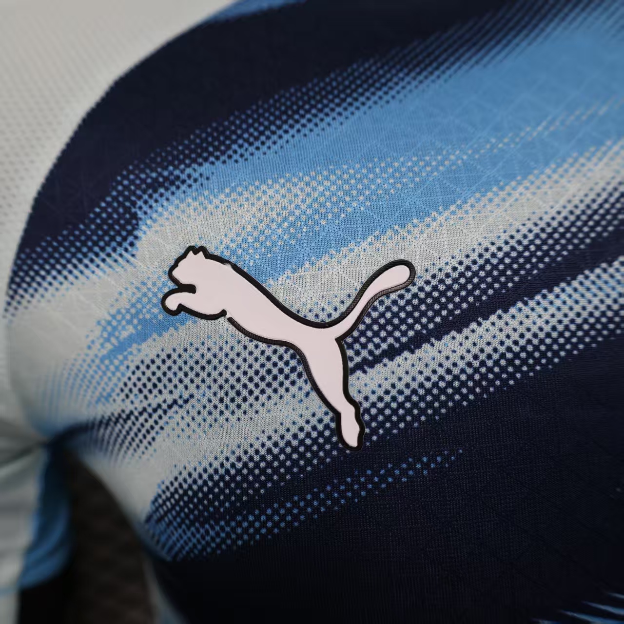 Player Version Marseilles 25/26 Training S-XXL