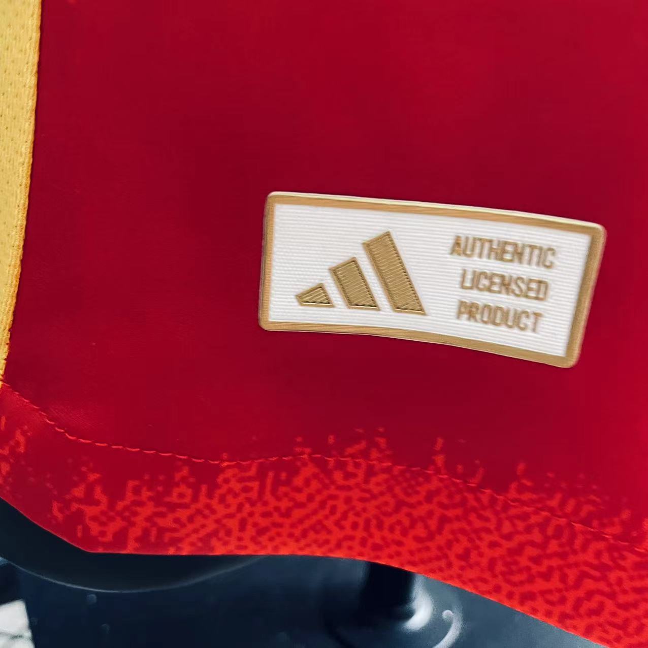 Player Version Camsia Spain 24/25 Home Red