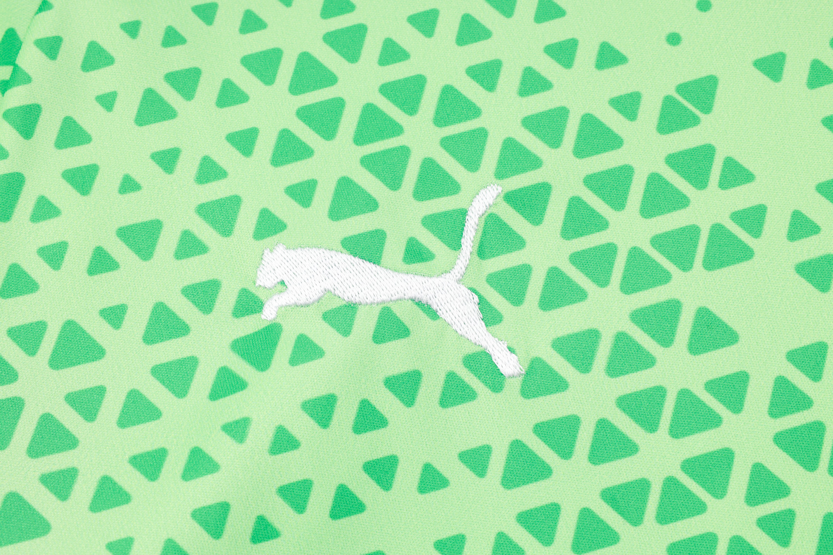 Shorts Sleeves Palmeiras Training Suit