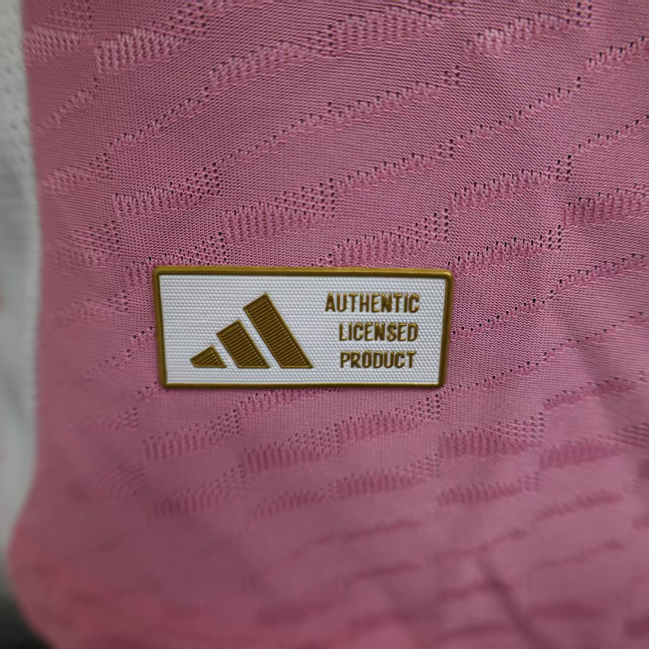 Player Version Argentina 25/26 Training Kit