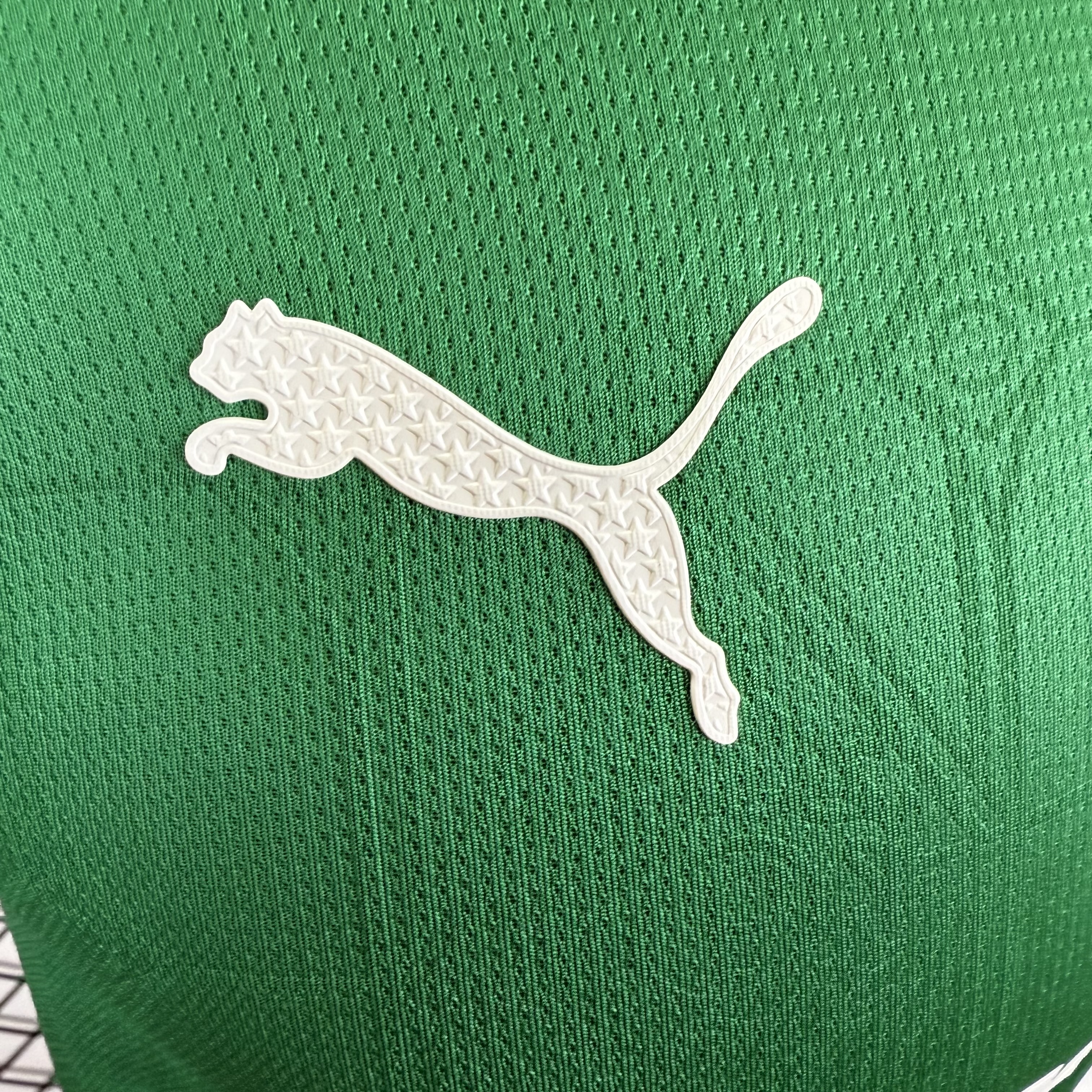 Player Version  Palmeiras 25/26 Home Green