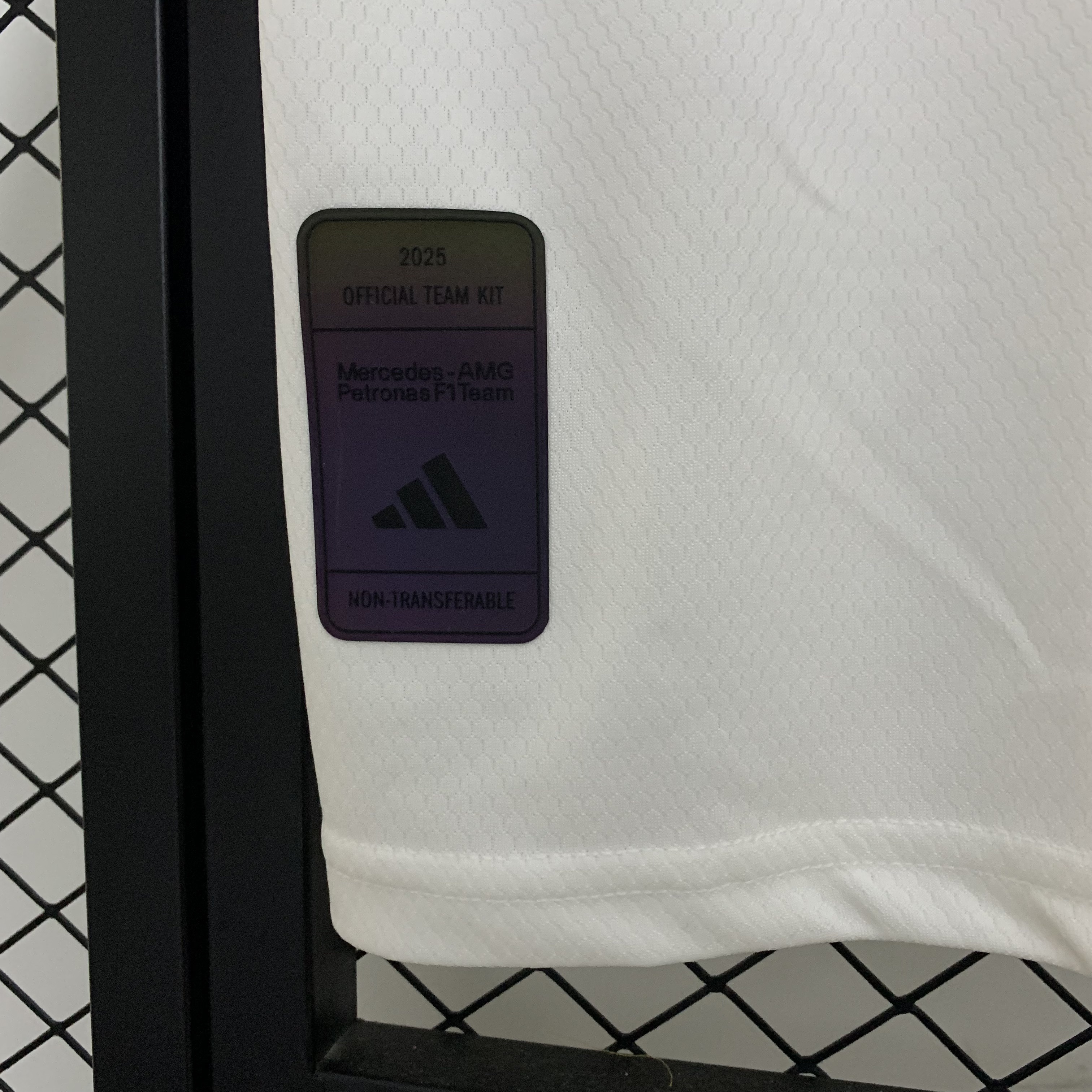 2025 F1 Mercedes-AMG Petronαs S-5XL