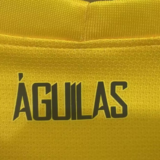 Retro Club América 2013 Home  S-XXL