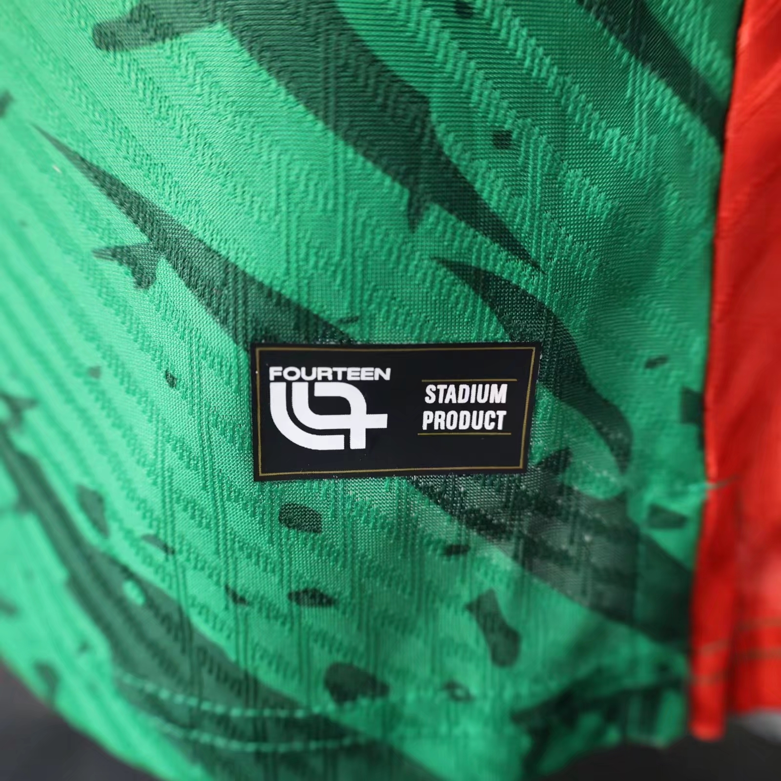 Player Version Cameroon 25/26 Green  S-XXL