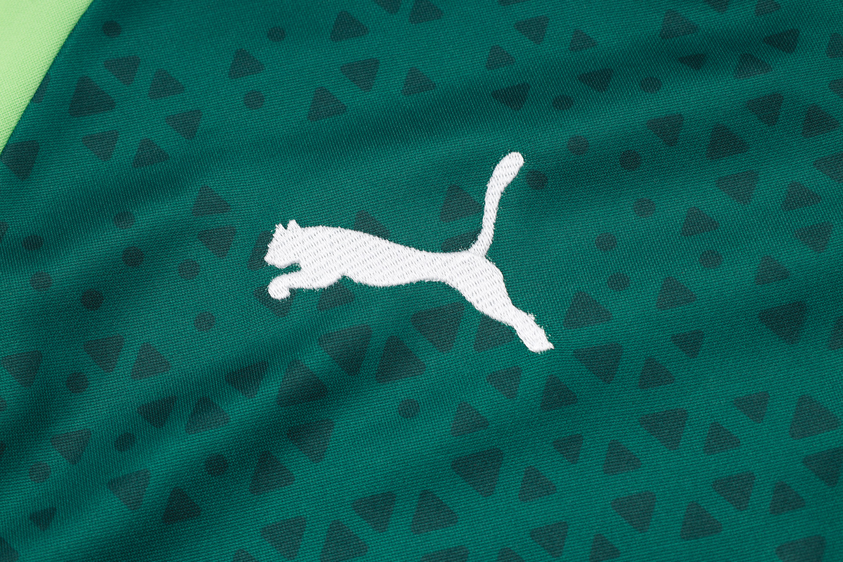 Palmeiras Half Zipper Training Suit B850