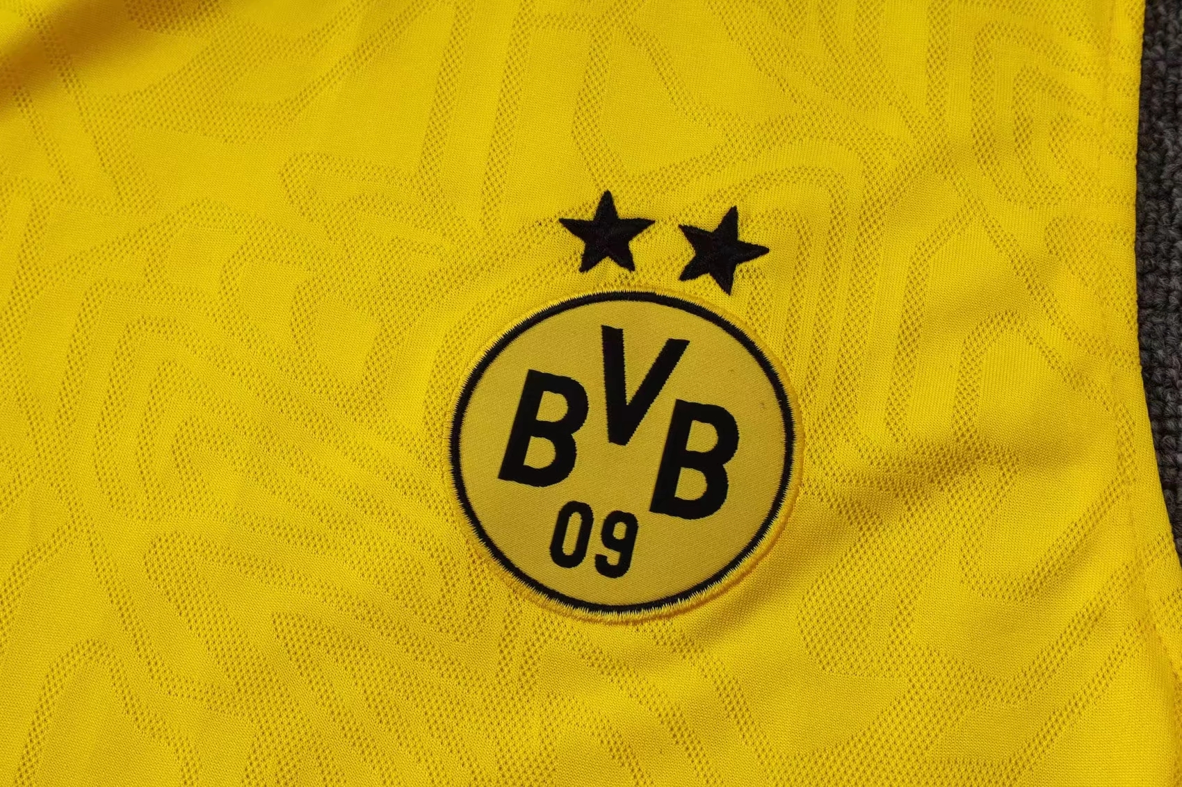 Dortmund Sleeveless training suit