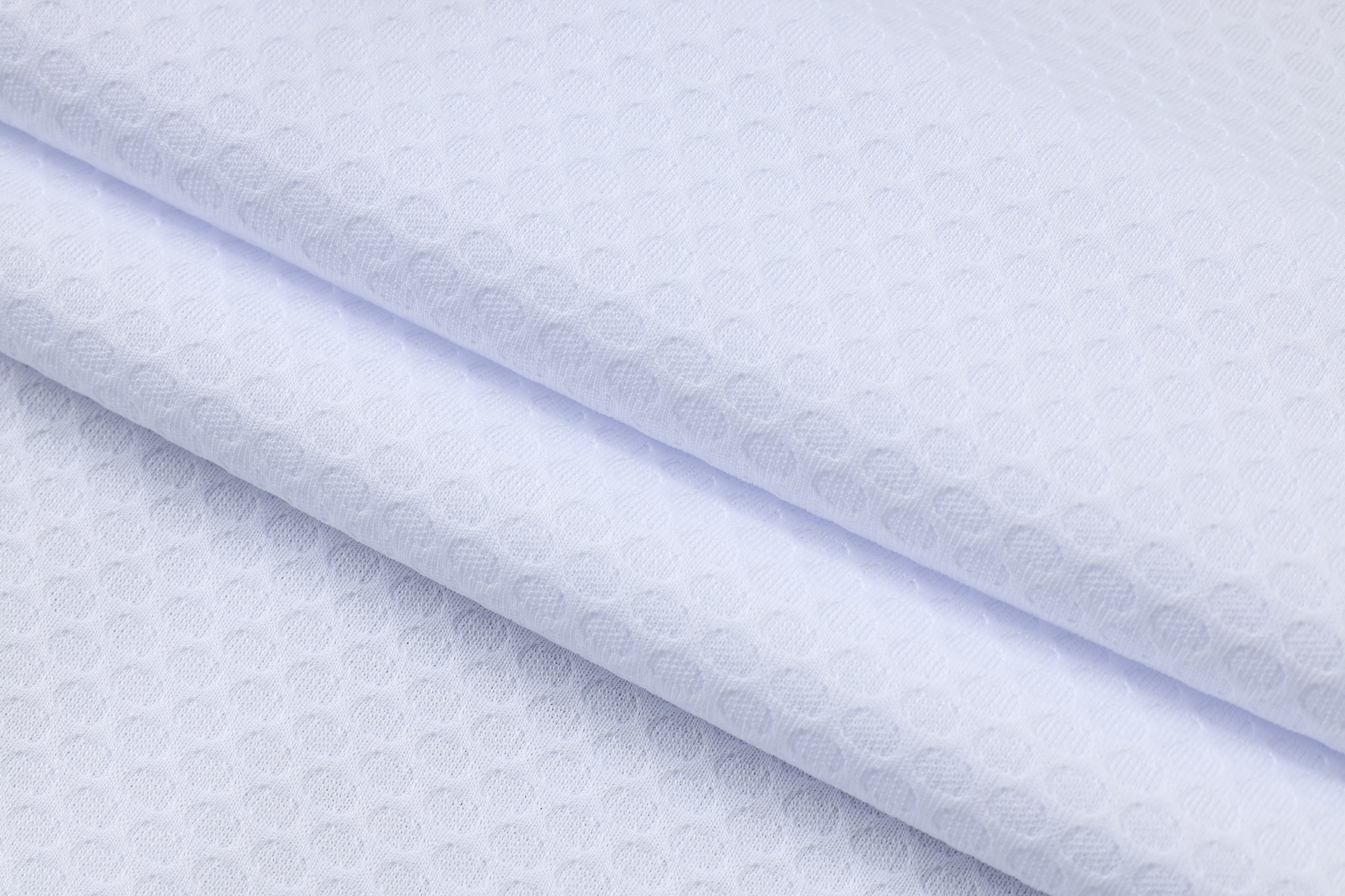 2526 Chelseα  Polo  C2521