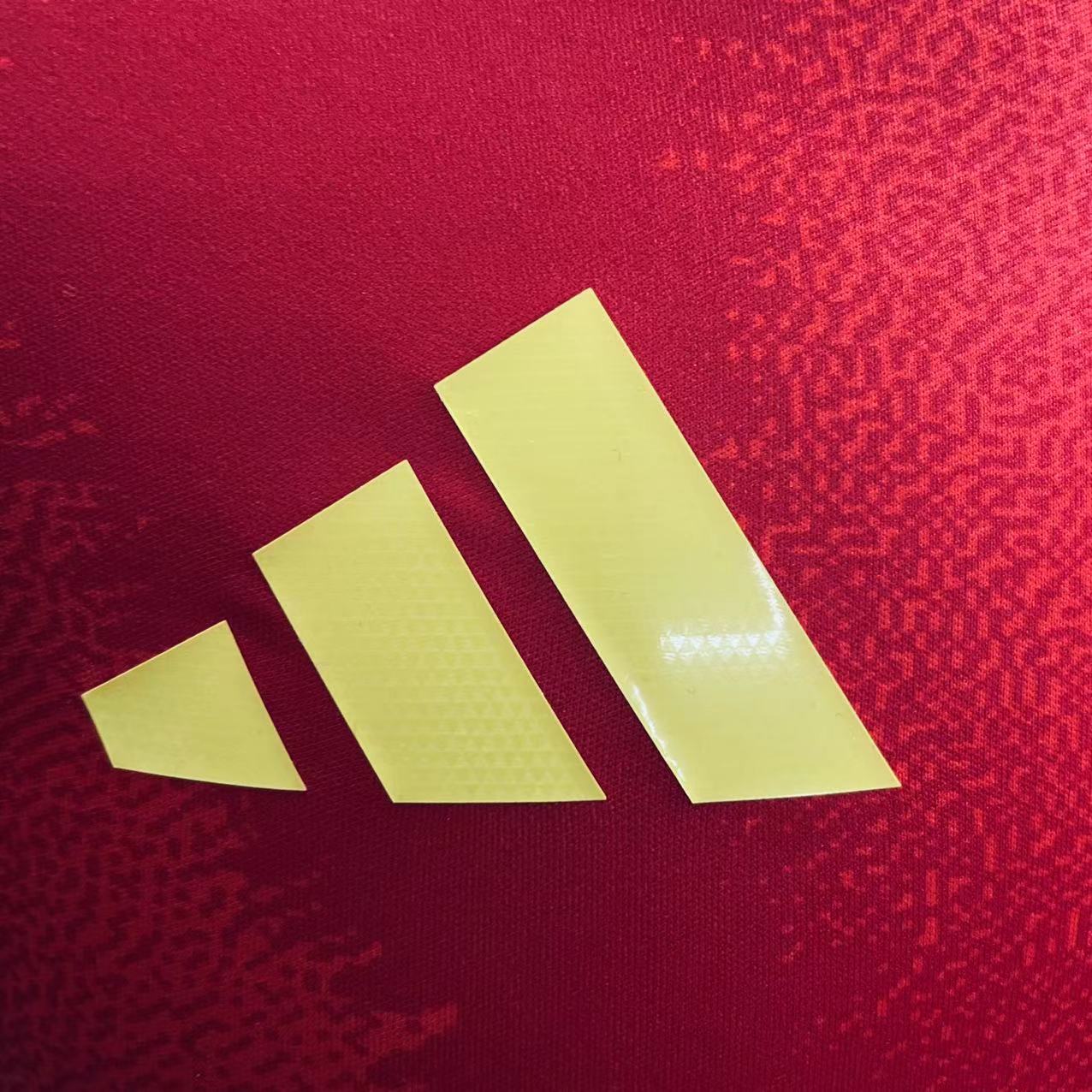 Player Version Camsia Spain 24/25 Home Red