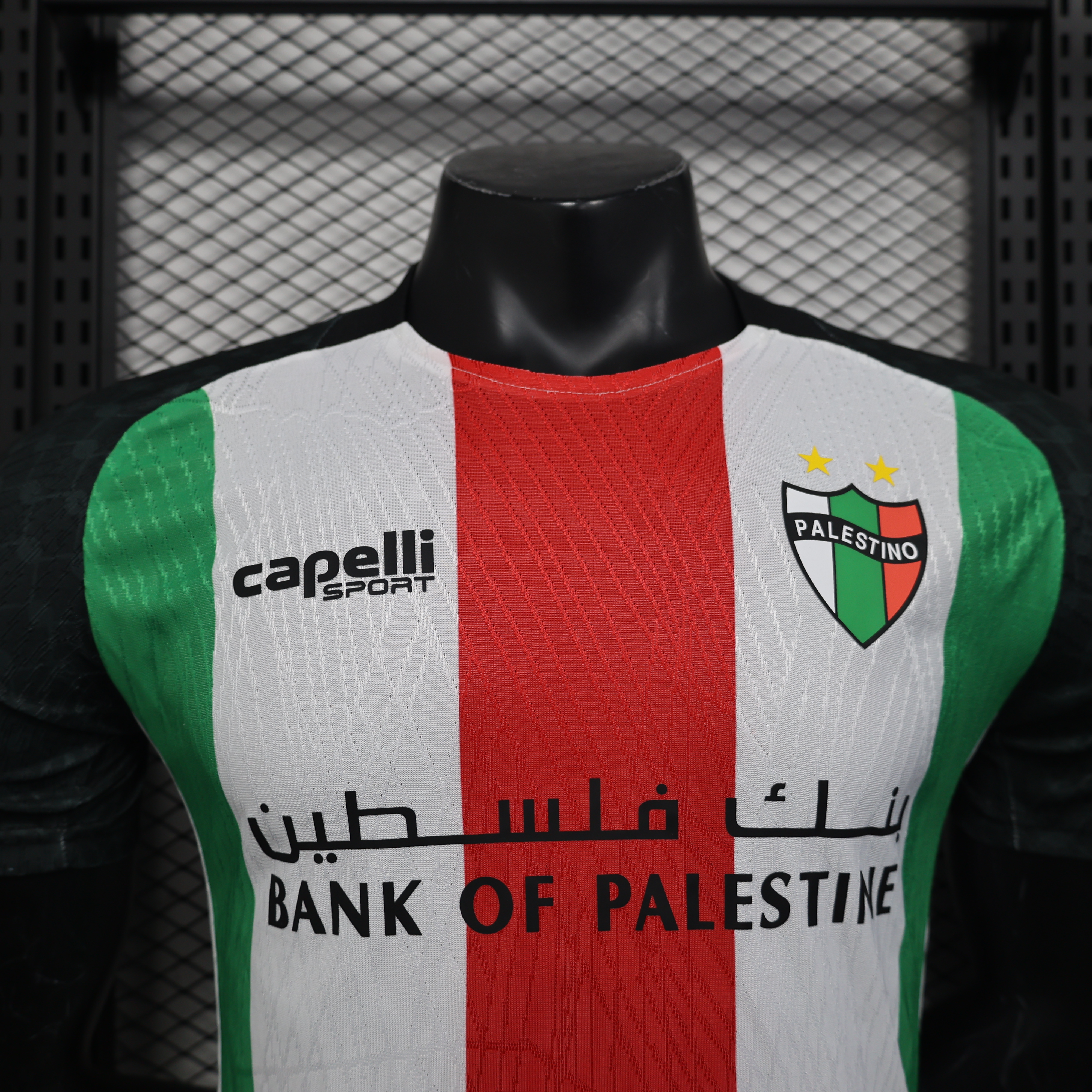 Player Version Palestino Deportivo 25/26 Home  S-XXL