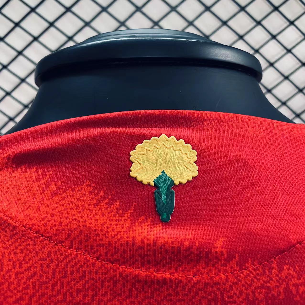 Player Version Camsia Spain 24/25 Home Red