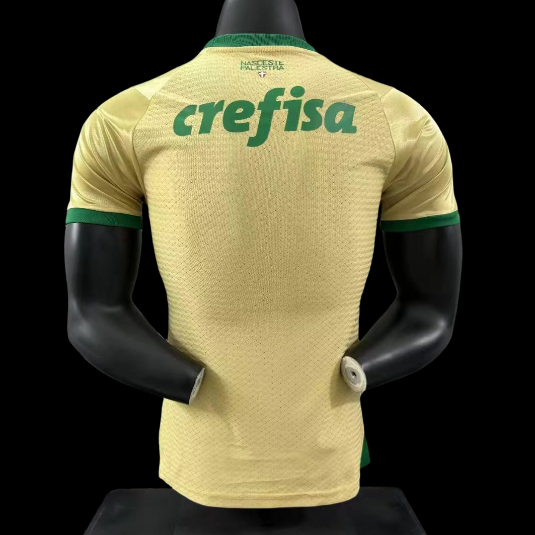 Player Version  Palmeiras 24/25 Third