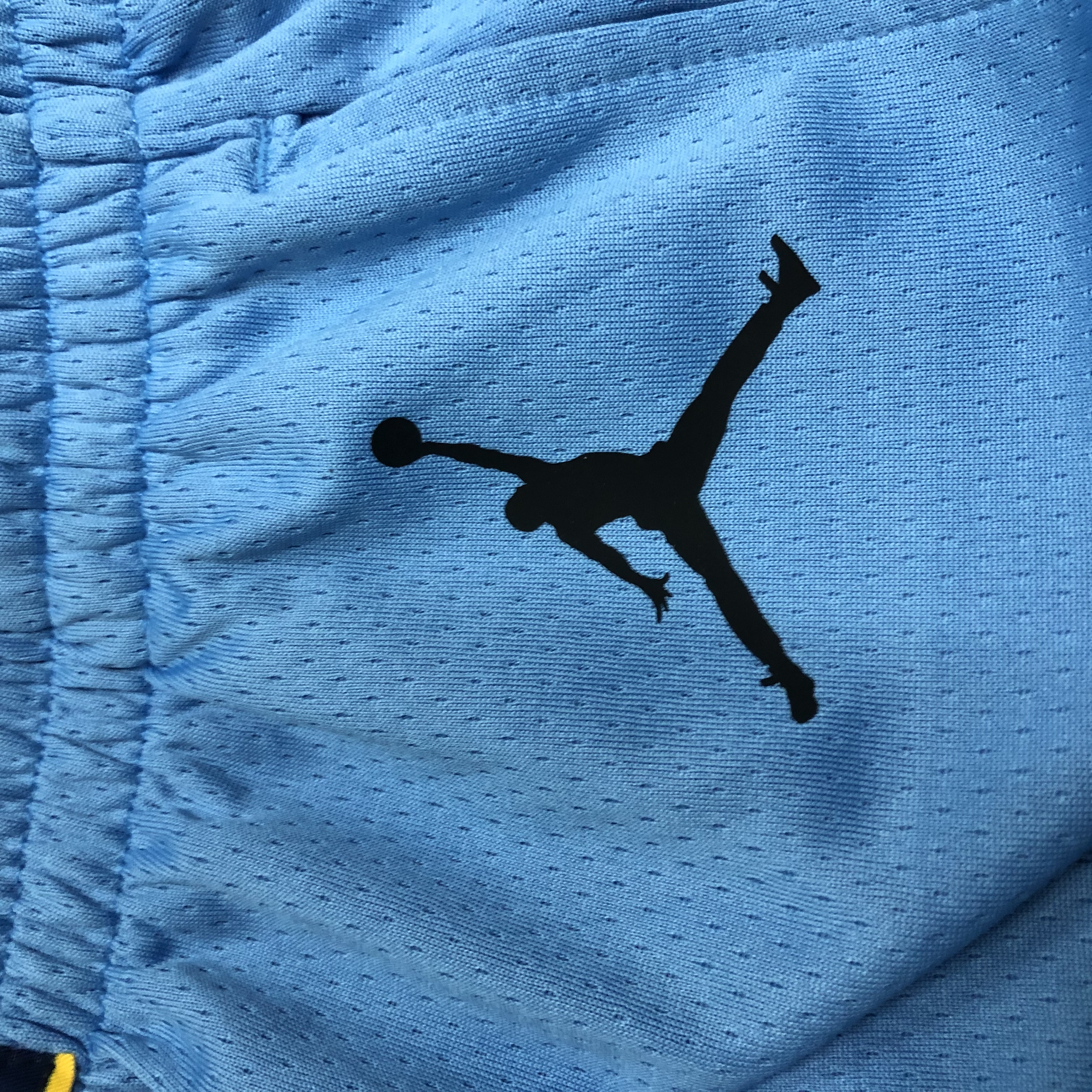 Grizzlies Flyers Shorts