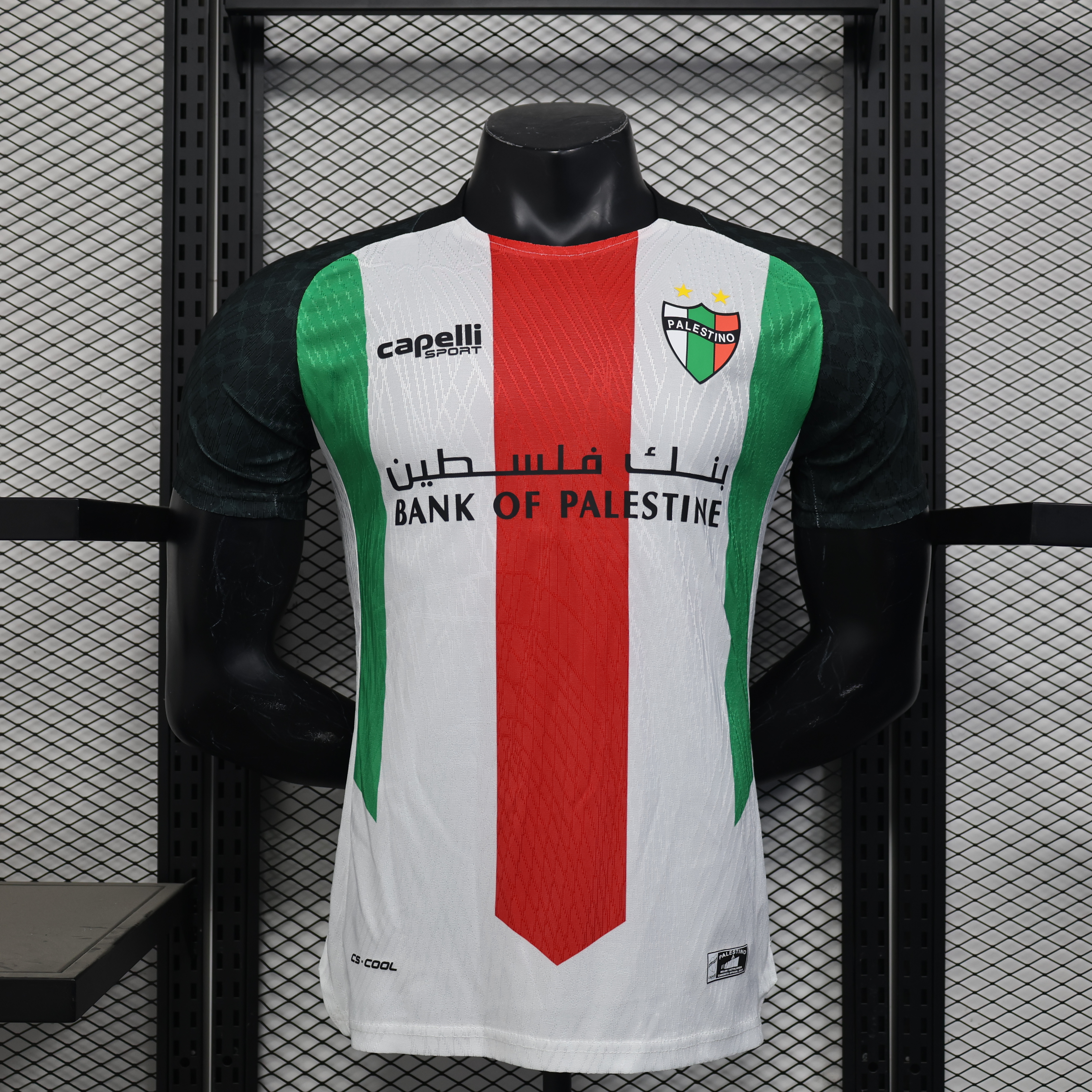 Player Version Palestino Deportivo 25/26 Home  S-XXL