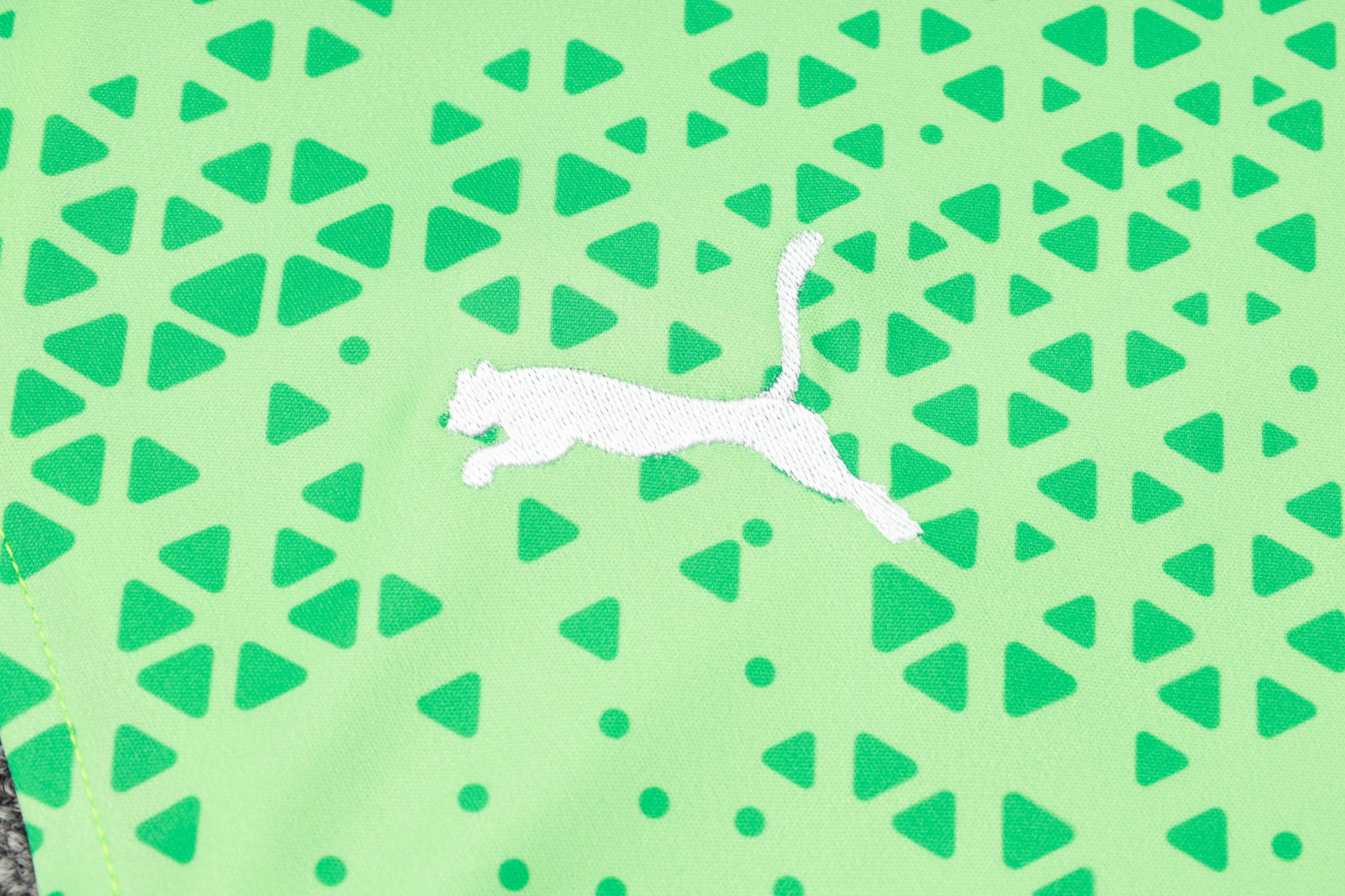 Palmeiras Sleeveless Training suit