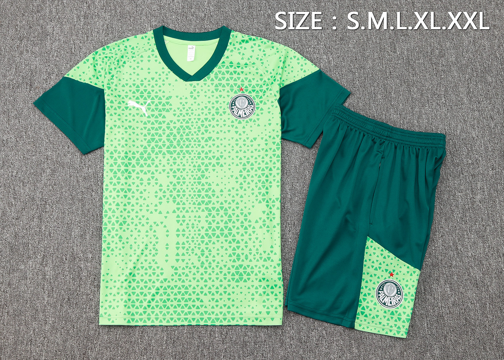 Shorts Sleeves Palmeiras Training Suit