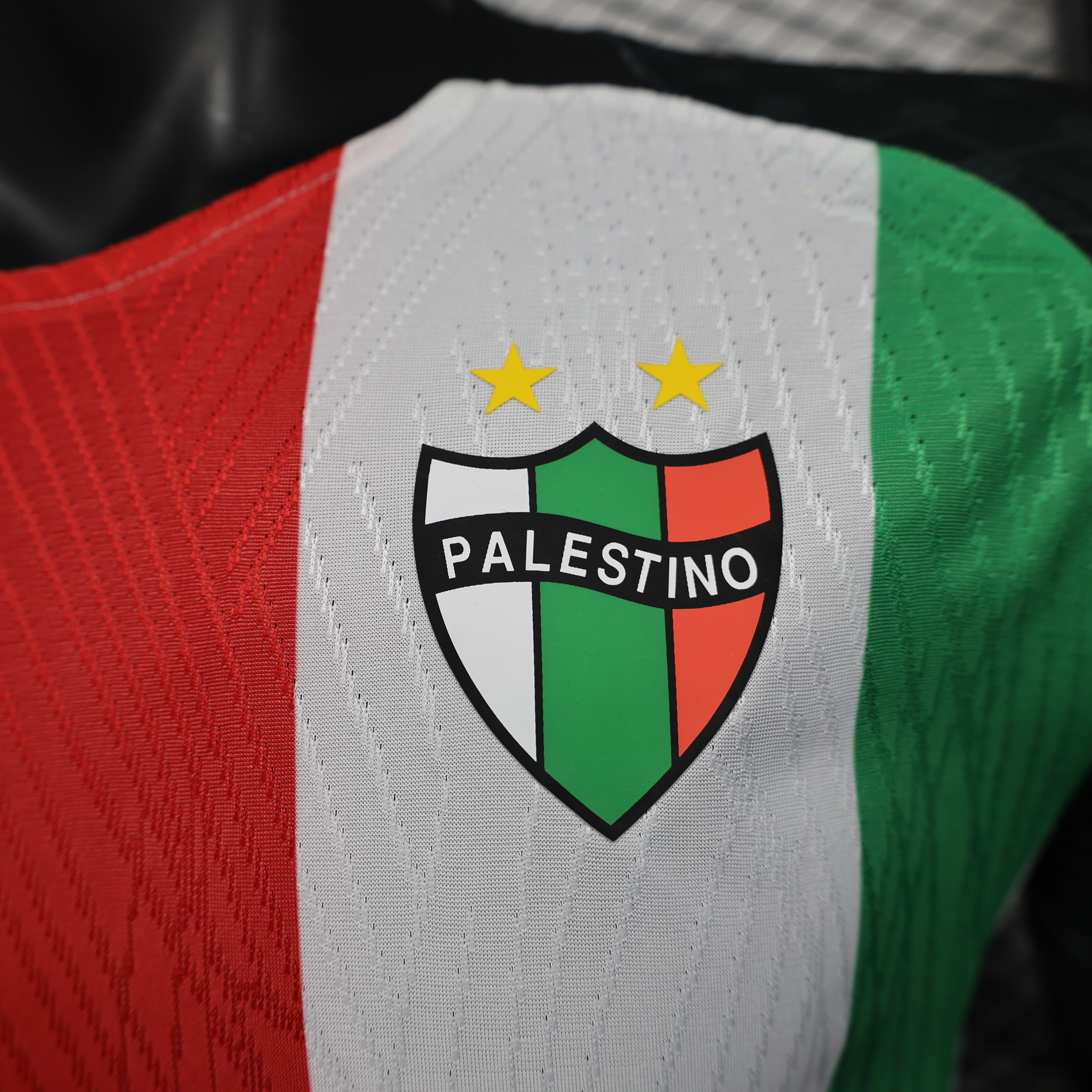 Player Version Palestino Deportivo 25/26 Home  S-XXL