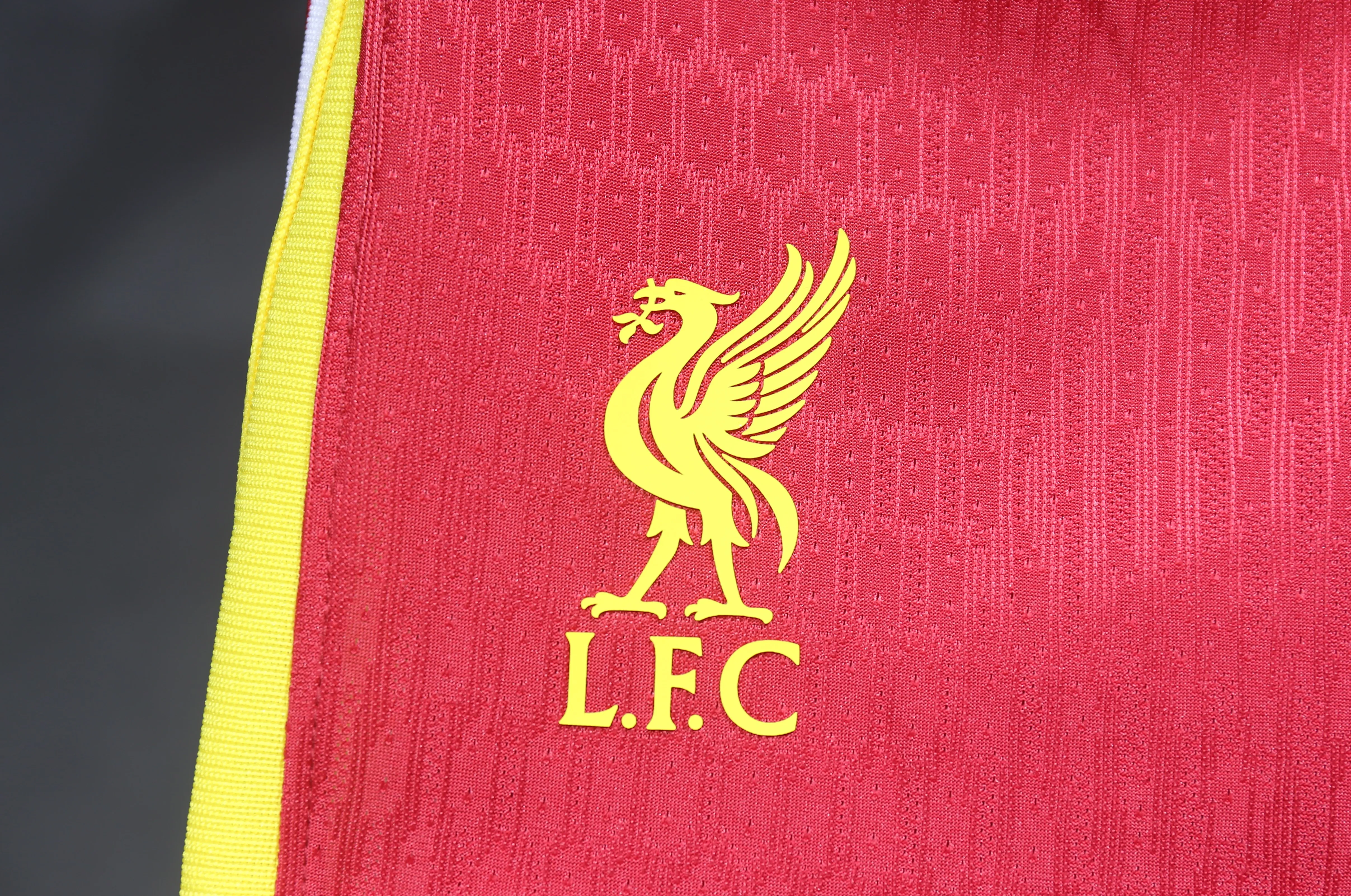 Player Version Shorts 2024-25 LVP home